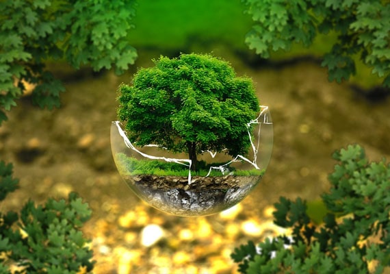 ISO 14001:2015 EMS
