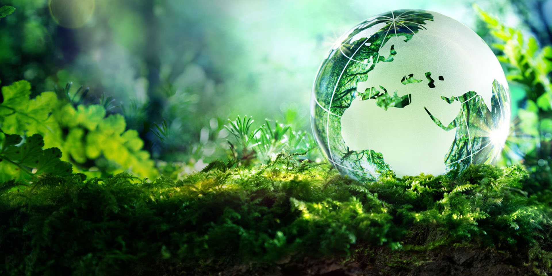 ISO 14001:2015 Environmental Management System